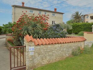 Plant, Sky, Cloud, Flower, Building, Window, Tree, House, Land Lot, Neighbourhood