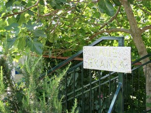 Botanique, Branche, Brindille, Plante, Terrestre Des Plantes, Arbre, Herbe, Couverture De Sol, Métal, Enseignes