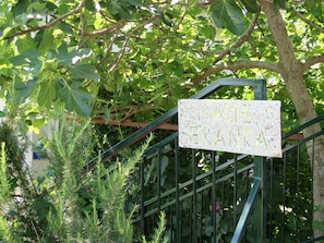 Botany, Branch, Twig, Plant, Terrestrial Plant, Tree, Grass, Groundcover, Metal, Signage