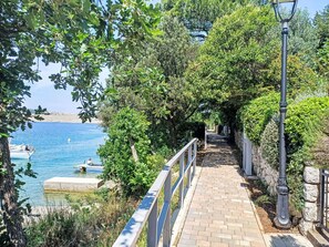 Water, Plant, Sky, Tree, Street Light, Natural Landscape, Coastal And Oceanic Landforms, Leisure, Woody Plant, Landscape