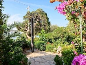 Garten, Vegetation, Eigentum, Botanischer Garten, Botanik, Pflanze, Blume, Baum, Grundeigentum, Haus