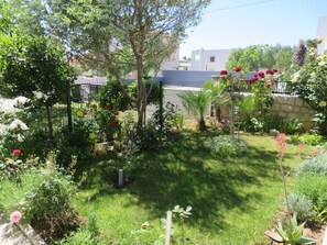 Water, Sky, Property, Plant, Building, Cloud, Swimming Pool, Tree, Residential Area, Grass