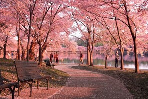 Jardines del alojamiento