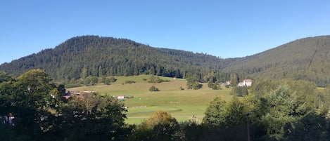 Blick von der Terrasse aus auf den gegenüberliegenden Ailwald 