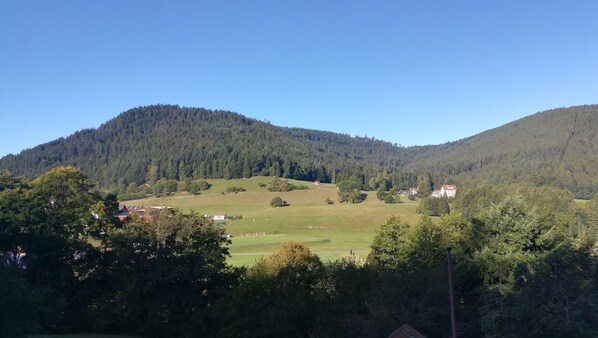 Blick von der Terrasse aus auf den gegenüberliegenden Ailwald 