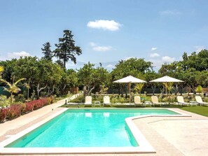 Green Orange Villa swimming pool next to organic orange and avocado trees