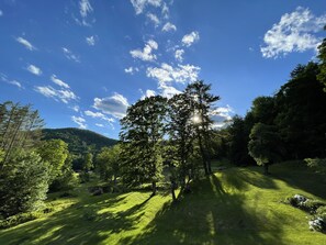 Panorama of the mountains in summer from the lodge.