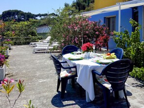 Planta, Mesa, Flor, Propiedad, Mueble, Edificio, Ventana, Mesa Al Aire Libre, Hoja, Cielo