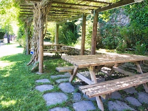 Plant, Furniture, Outdoor Bench, Shade, Outdoor Furniture, Picnic Table, Wood, Vegetation, Tree, Biome