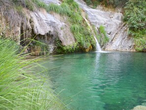 Water, Plant, Spring, Natural Landscape, Waterfall, Chute, Riparian Zone, Bank, Lake