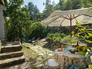 Plant, Plant Community, Table, Tree, Botany, Shade, Chair, Outdoor Table, Outdoor Furniture, Landscape