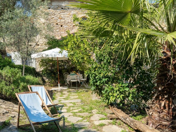 Plant, Property, Plant Community, Nature, Leaf, Shade, Outdoor Furniture, Tree, Grass, Terrestrial Plant