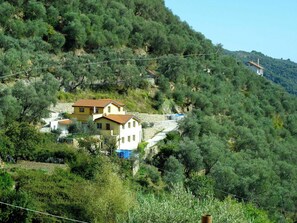 Plant, Sky, Mountain, Tree, Natural Landscape, Vegetation, House, Building, Slope, Grass