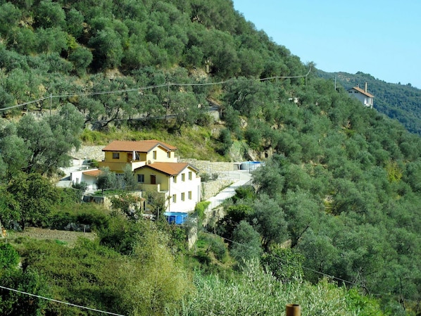 Schwimmbad, Resort, Villa, Eco Hotel, Hotel, Hazienda, Ferienort