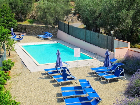 Plante, Piscine, L'Eau, Bleu, Bleu Azur, Mobilier De Jardin, Ombre, Arbre, Herbe, Loisir