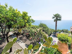 Bleu, Vert, Végétation, Arbuste, Mer, Océan, Cotiers Et Relief Océaniques, Côte, Jardin