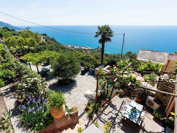 Vert, Arbuste, Pot De Fleur, Mer, Océan, Jardin, Côte, Recours, Plante D'Appartement