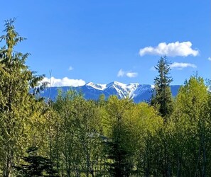 See the Olympic Mts. in all their glory from the Barn Cottage