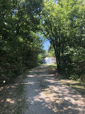 The tree lined drive