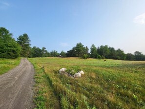 The long dirt road in but well maintained in all seasons!