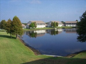 View from screen lanai - to view birds, turtles and a small gator.