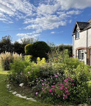 Sunny  garden