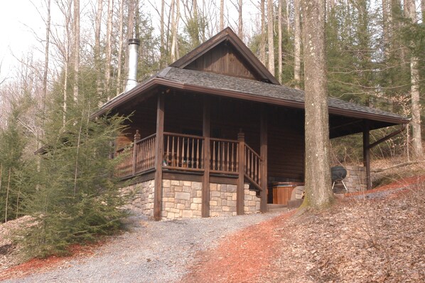 Cabin 7