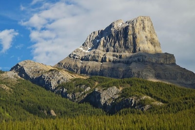 Gorgeous Deluxe Three Bedroom Log Home with Mountain Views