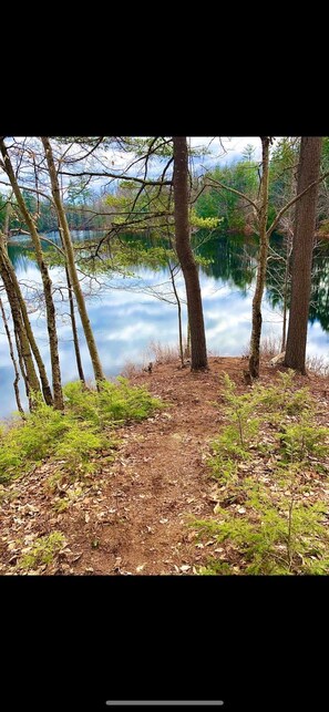 Jaybird Pond view from the cabin.