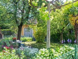 Pflanze, Pflanzengemeinschaft, Blume, Grün, Gebäude, Natürliche Landschaft, Blatt, Baum, Fenster, Gras