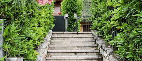 Plant, Property, Stairs, Flower, Botany, Leaf, Nature, Vegetation, Sky, Grass