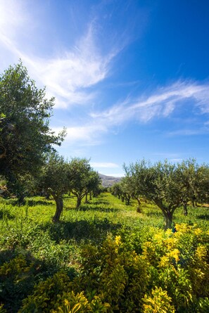 Εξωτερικός χώρος καταλύματος