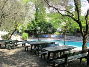 Water, Plant, Table, Daytime, Furniture, Tree, Nature, Botany, Leaf, Shade