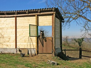 Shed, Outhouse, House, Rural Area, Tree, Building, Shack, Grass, Garden Buildings, Wood