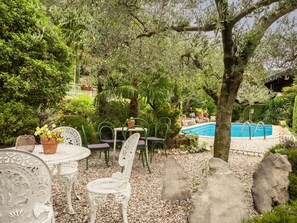 Plant, Furniture, Table, Chair, Natural Landscape, Tree, Outdoor Furniture, Vegetation, Grass, Outdoor Table