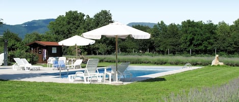 Sky, Plant, Water, Swimming Pool, Umbrella, Shade, Outdoor Furniture, Tree, Grass, Sunlounger