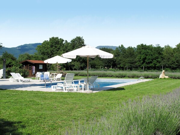 Ciel, Plante, L'Eau, Piscine, Parapluie, Ombre, Mobilier De Jardin, Arbre, Herbe, Balancelle