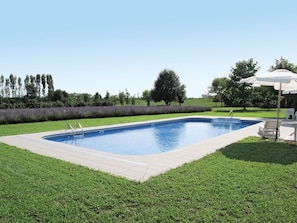 Swimming Pool, Property, Grass, Real Estate, Backyard, Lawn, House, Yard, Rectangle, Leisure