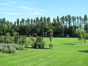 Plante, Ciel, Nuage, Arbre, Paysage Naturel, Lot Terre, Herbe, Prairie, Plaine, Couverture De Sol