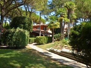 Plante, Bâtiment, Botanique, Arbre, Paysage Naturel, Lot Terre, Herbe, Quartier, Maison, Zone Résidentielle