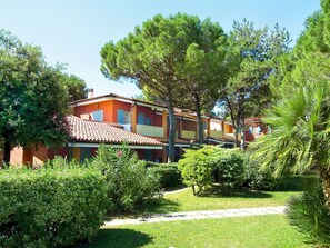 Plante, Bâtiment, Ciel, Fenêtre, Arbre, Maison, Paysage Naturel, Chalet, Herbe, Couverture De Sol
