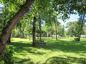 Tree, Natural Landscape, Nature, Nature Reserve, Green, Grass, Natural Environment, Park, Woody Plant, Botany