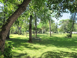 Baum, Natürliche Landschaft, Natur, Naturschutzgebiet, Grün, Gras, Natürlichen Umgebung, Park, Gehölz, Botanik