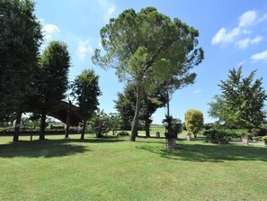 Wolke, Pflanze, Himmel, Baum, Natürliche Landschaft, Grundstueck, Schatten, Gras, Landschaft, Freizeit