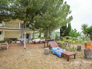 Plante, Pot De Fleur, La Nature, Extérieur Banc, Bâtiment, Ombre, Arbre, Mobilier De Jardin, Fenêtre, Chaise