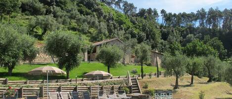 Acqua, Nube, Pianta, Cielo, Verde, Piscina, Albero, Paesaggio Naturale, Shade, Tempo Libero