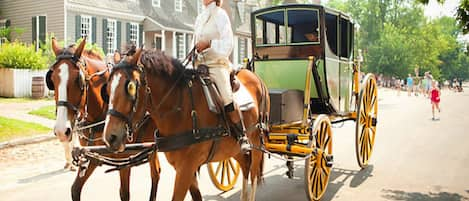 Reserve your carriage ride early (same day) - They get booked very fast.