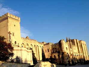 Le Palais des Papes : le plus grand palais moyenâgeux...