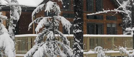 Snowy day in the Maine wilderness!