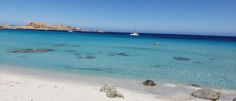 Plage au pied de l’appartement. 🏖 Vue sur les Îles-Rousse. 